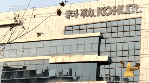 315曝光警示 商品批發貿易暗藏貓膩，消費者與企業需共同警惕